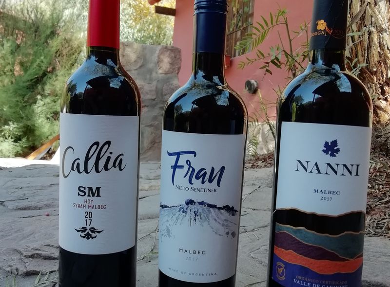 Groepsreis Argentinie en Chili